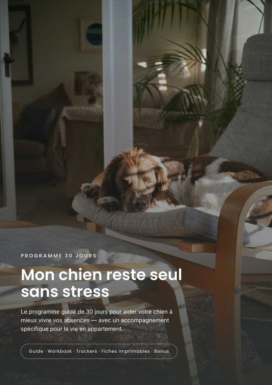 Couverture de l'ebook Mon chien reste seul sans stress